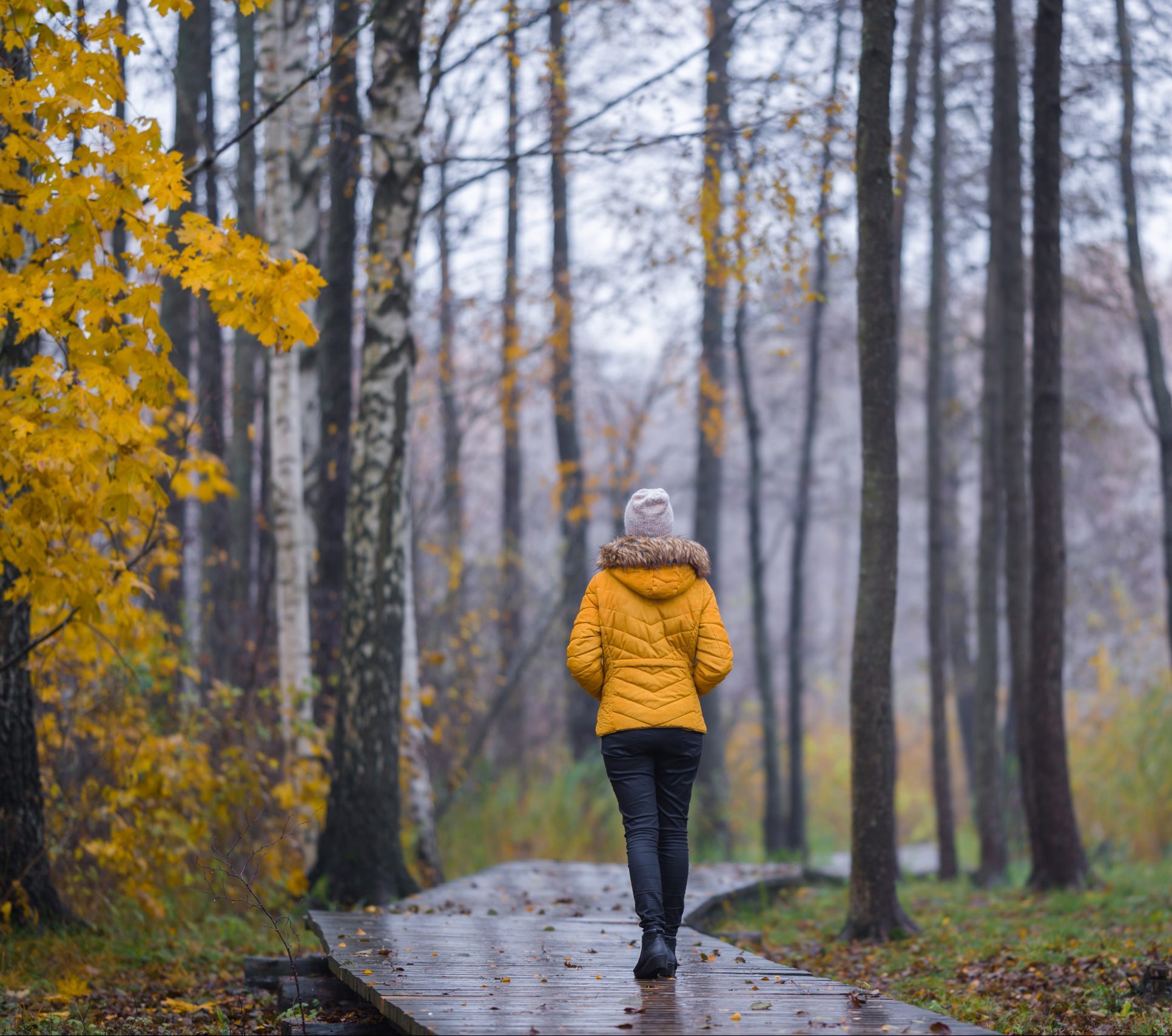 Young,Woman,In,Yellow,Warm,Jacket,Slowly,Walking,On,Wet